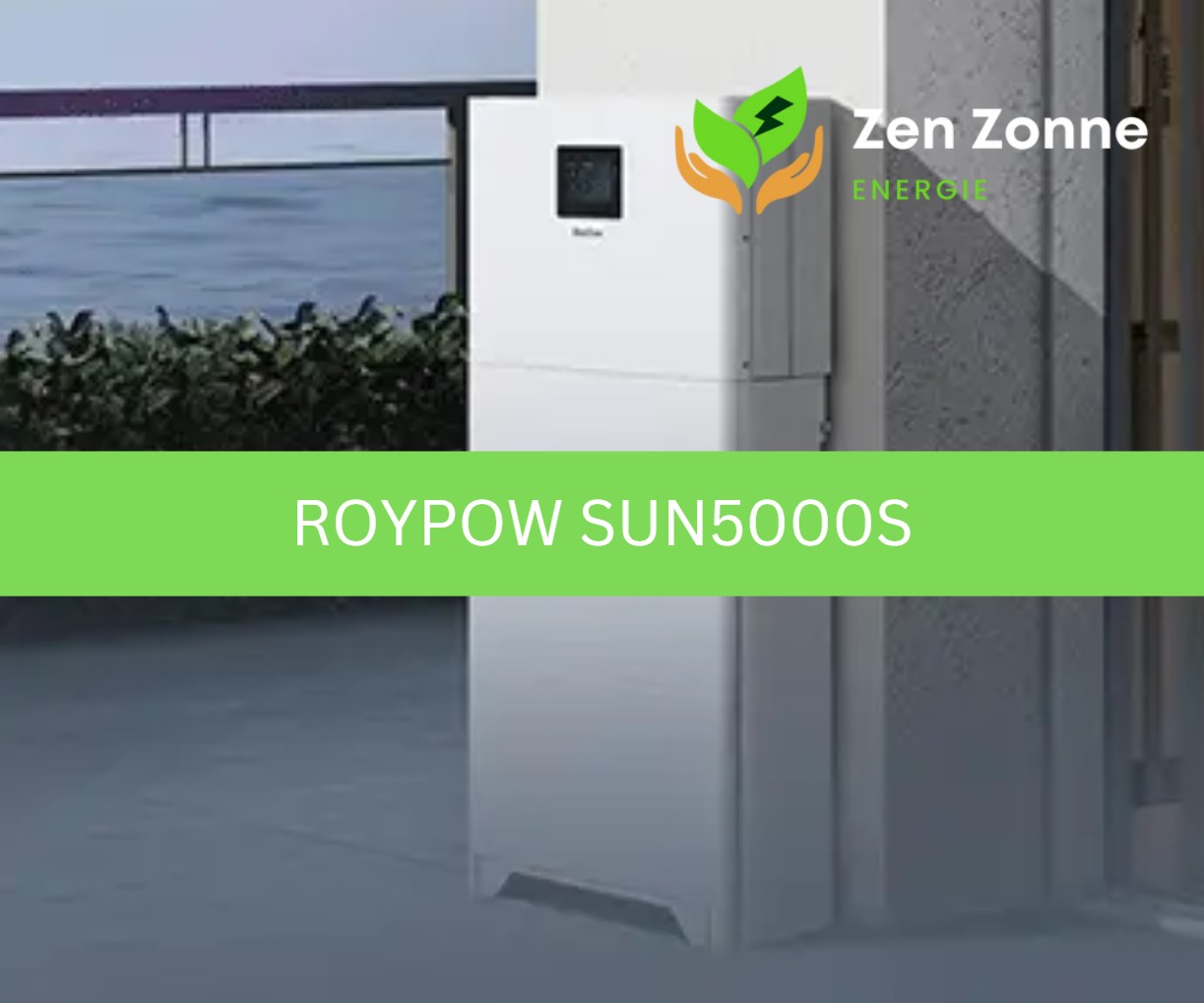 RoyPow SUN5000S